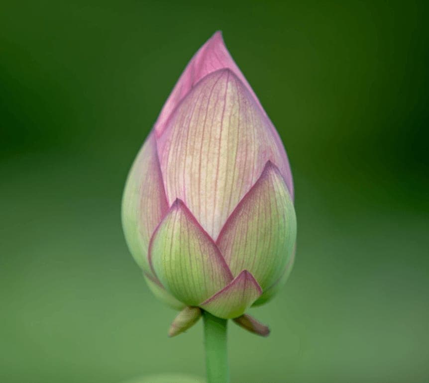 First tidying session