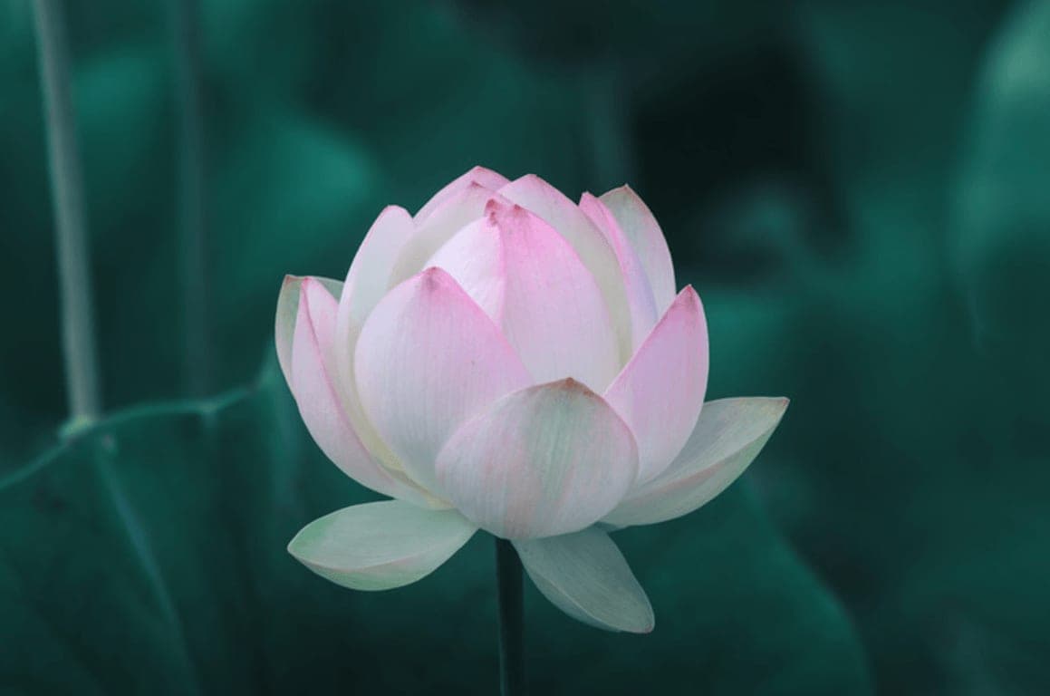 Working through the KonMari categories